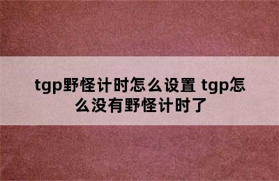 tgp野怪计时怎么设置 tgp怎么没有野怪计时了